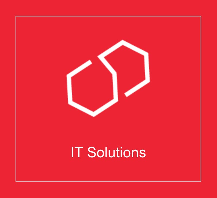 Profil SoftwareINDO - IT Solutions